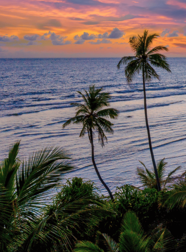 Goa