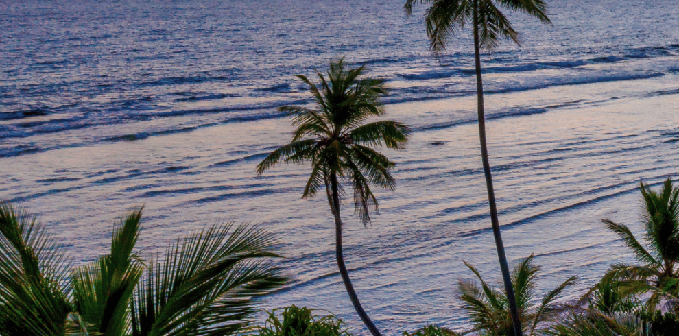 Goa