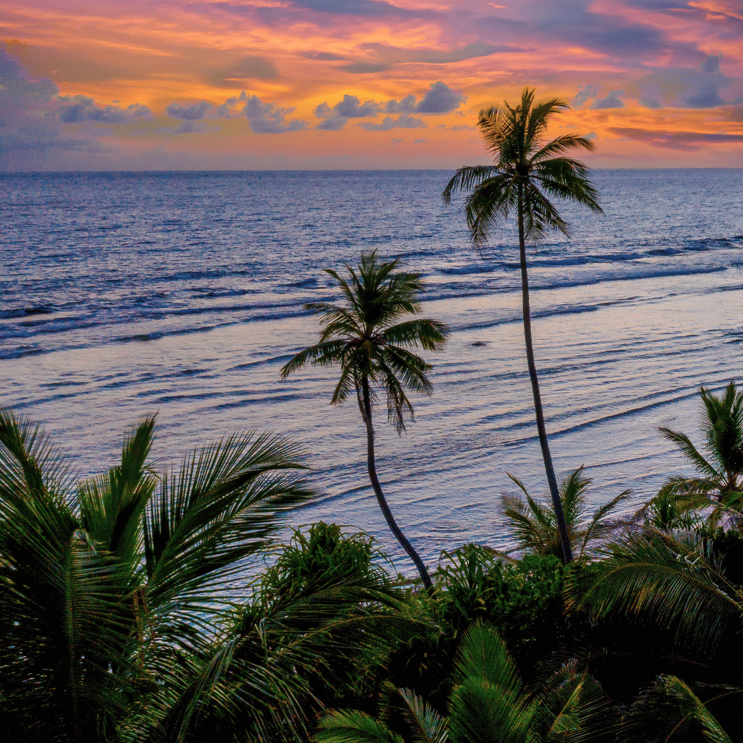 Goa