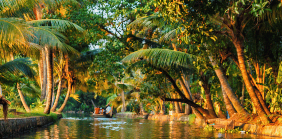 Kerala Tour Packages